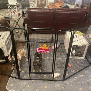 Megan added a photo of their purchase