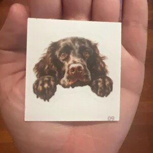 Whitney added a photo of their purchase