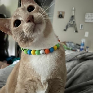 Holly added a photo of their purchase