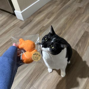 Casey adicionaram uma foto da sua compra