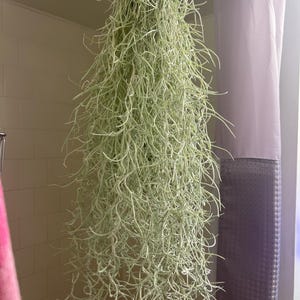 Joshua heeft een foto van zijn/haar aankoop toegevoegd