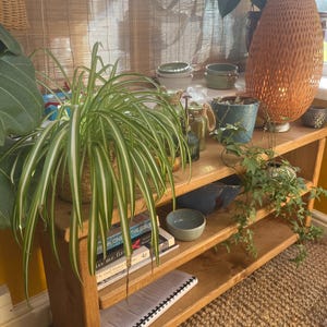 K added a photo of their purchase