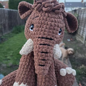 Coral added a photo of their purchase