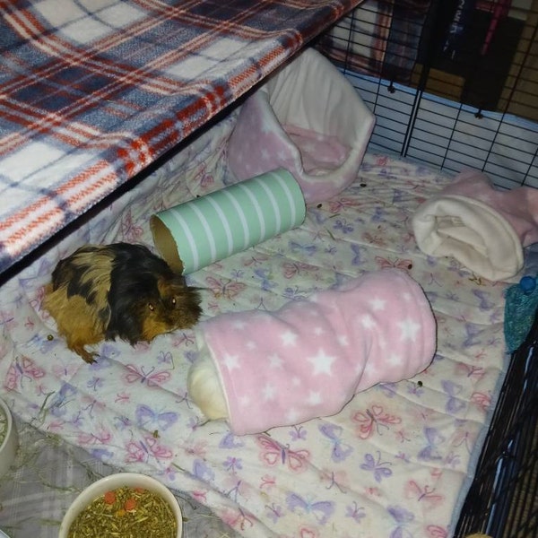 A closer look at Soft Guinea Pig Bed Ideas
