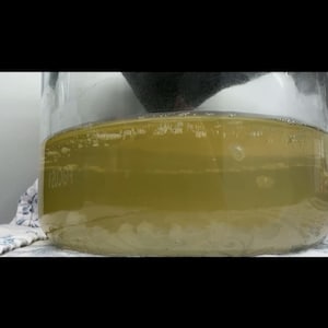 Jordan さんが購入した商品の写真を追加しました