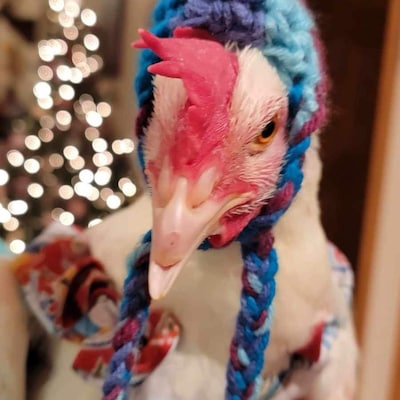 Chicken Hat With Ties - Etsy