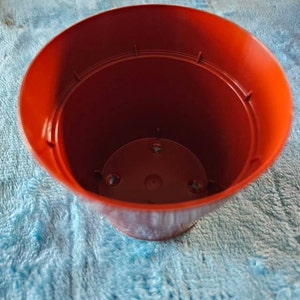 Gene added a photo of their purchase