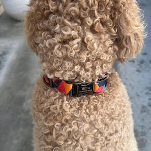arleen added a photo of their purchase