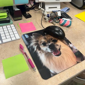 sadie added a photo of their purchase