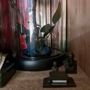 Ronald added a photo of their purchase