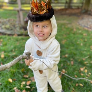 Costume Baby Baby Max Costume Pottery Barn Kids Where The Wild