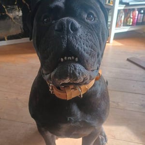 Ed added a photo of their purchase