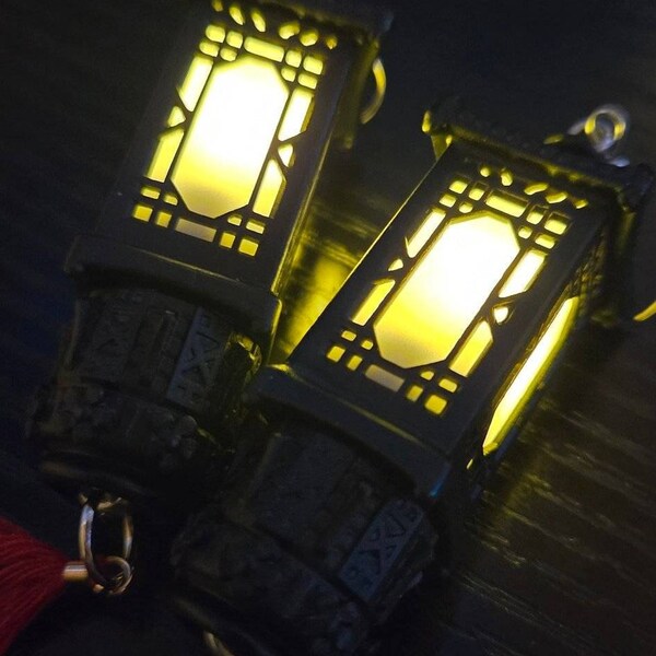 Lantern Earrings main image 1