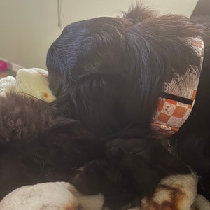 Holly added a photo of their purchase