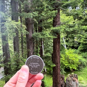 Customer photo for Custom Soaring Hawk sobriety coin review