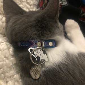 Jennifer added a photo of their purchase