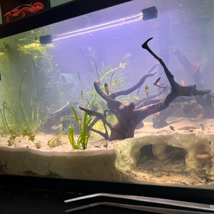James added a photo of their purchase