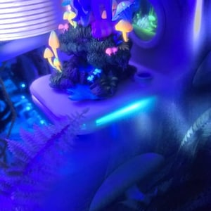 Laura lade till en bild av sitt köp