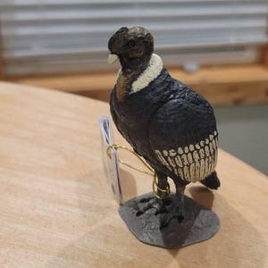 Jodi dodał(a) zdjęcie swoich zakupów