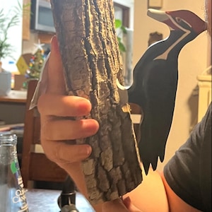 Katie ha añadido una foto de su compra