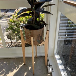 Caren adicionaram uma foto da sua compra