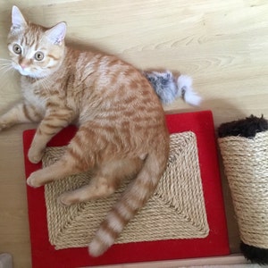 Eriko ha añadido una foto de su compra