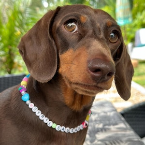 ビーズの犬用首輪：ペットの名前をカスタマイズできるネックレス