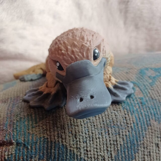 レア ⭐️MEFFERT’S Platypus Color Collection Fidget Friends Platypus – 801 Hobbies