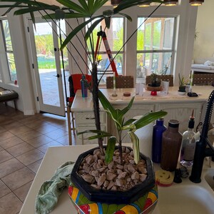 J added a photo of their purchase