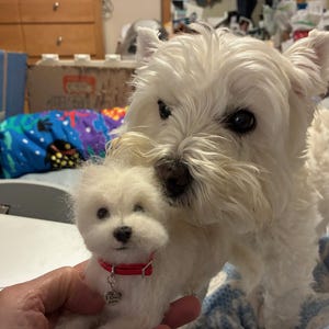 C added a photo of their purchase