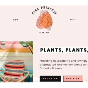 Inactive account added a photo of their purchase