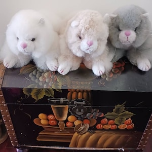 Tammy added a photo of their purchase