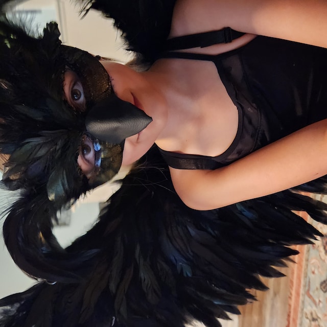 Whyzsjnclg Masque De Corbeau – Demi-visage Plumes Réaliste, 16x30 Cm, Plastique Léger, Pour Halloween, Mardi Gras, Cosplay