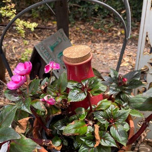 Margaret added a photo of their purchase