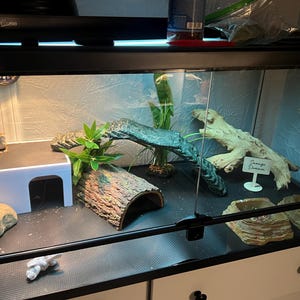 zoe added a photo of their purchase