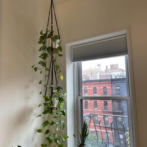 Irene added a photo of their purchase