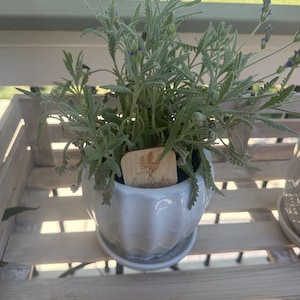 McKenzie added a photo of their purchase