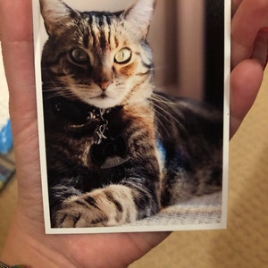 Kristin added a photo of their purchase