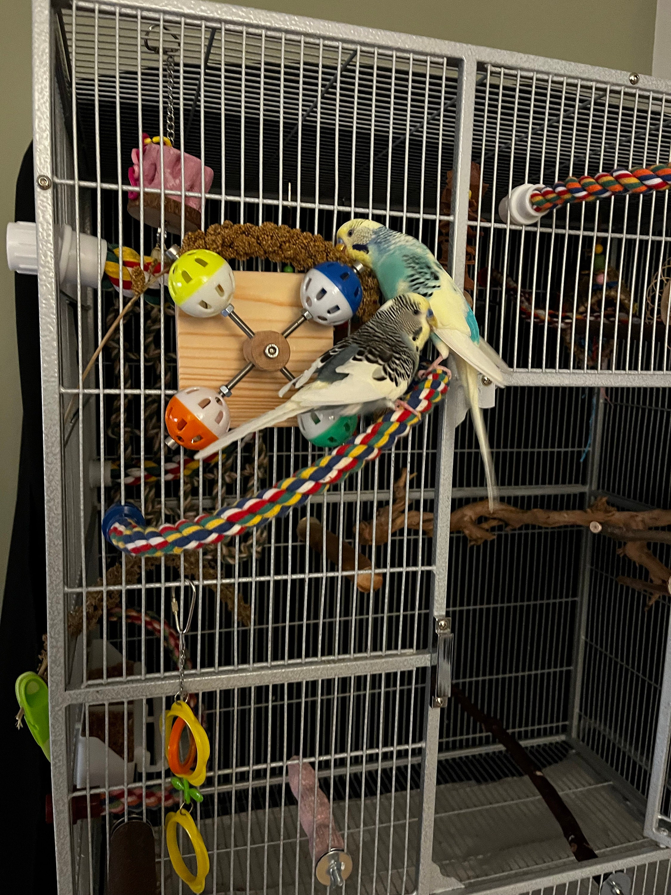 Rotating Colorful Balls Toy for Birds, Budgies, Budgerigars, Parakeets, Parrots, Cockatiels, Parrotlets, Lovebirds, Conure, Caique, Lorikeet