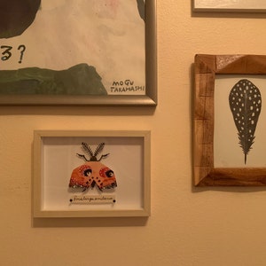 Melody added a photo of their purchase