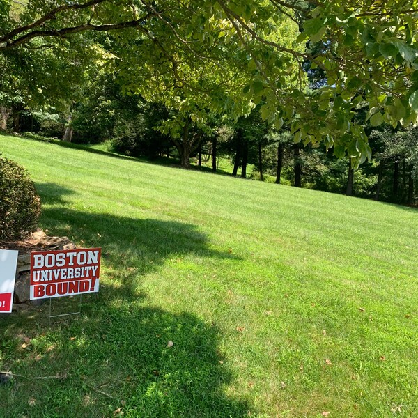 University of Georgia Bound Sign UGA Bound Sign UGA Dawgs Bound UGA ...