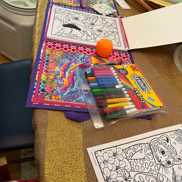 Lisa Frank Coloring & Activity Set With Fold Out Storage Case. Stickers