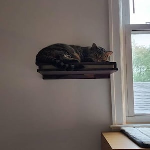 Ter added a photo of their purchase
