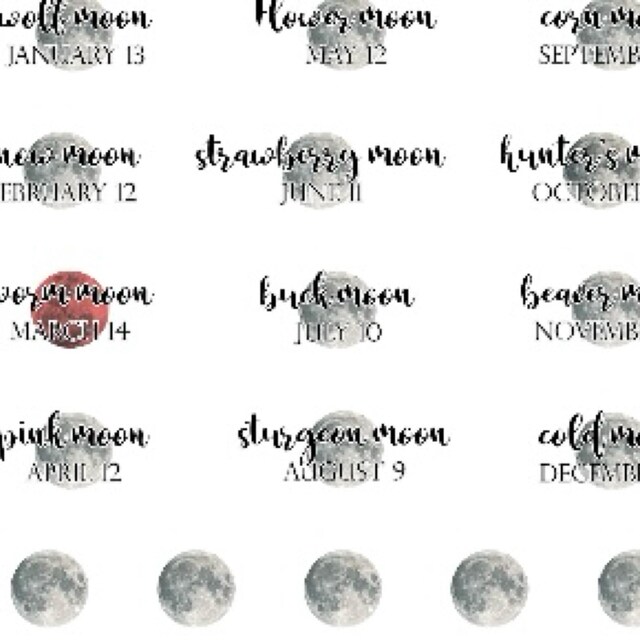 【fullmoonページ】 Colors: Full Moon Yellow Weeks Hardcover Book / Weekly
