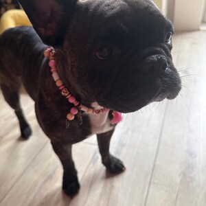 Mel added a photo of their purchase