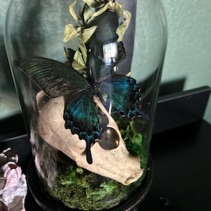 April added a photo of their purchase