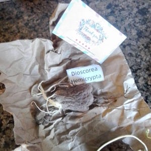 Catherine added a photo of their purchase