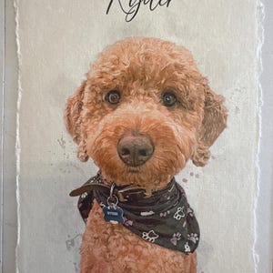 Brodie added a photo of their purchase