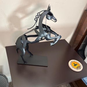 Carman added a photo of their purchase