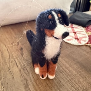 Carissa added a photo of their purchase
